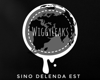 wikileaks-netbook-globe-01-03